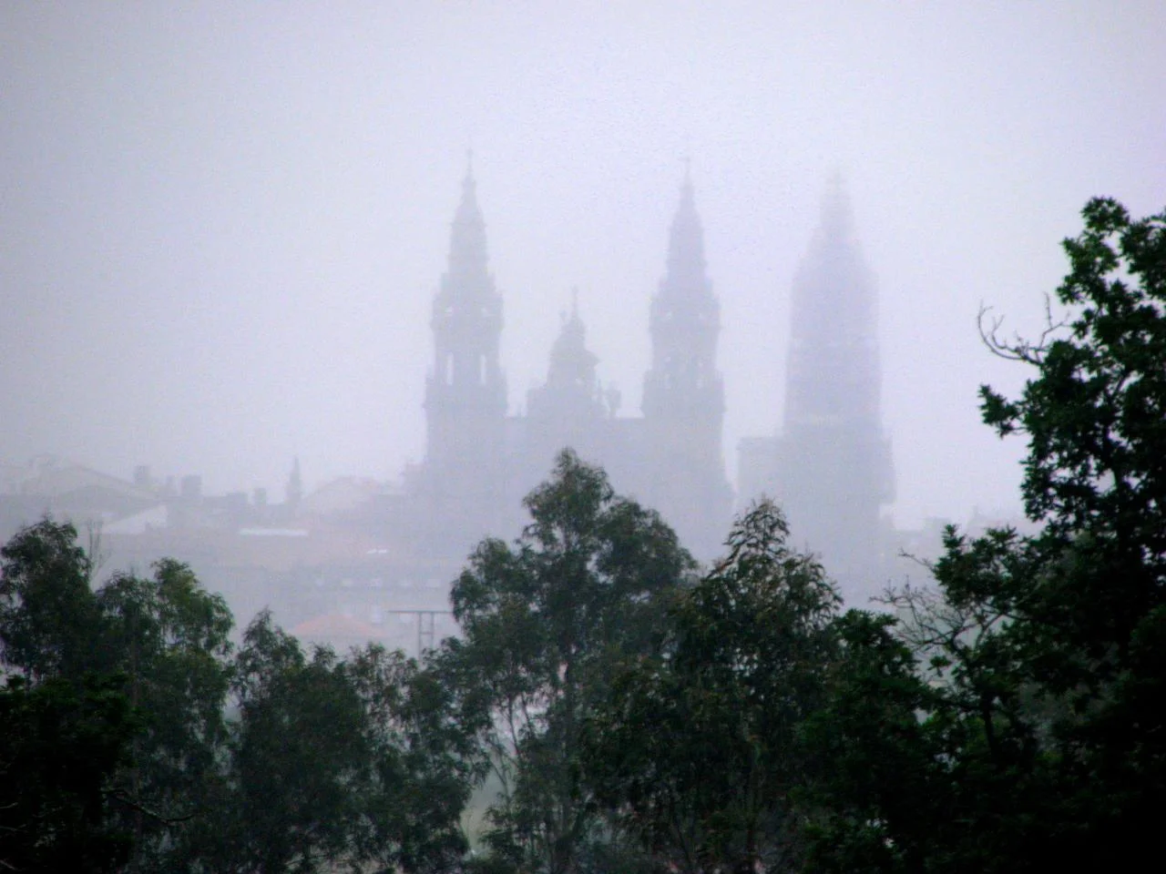 Banner limpio de Bruma